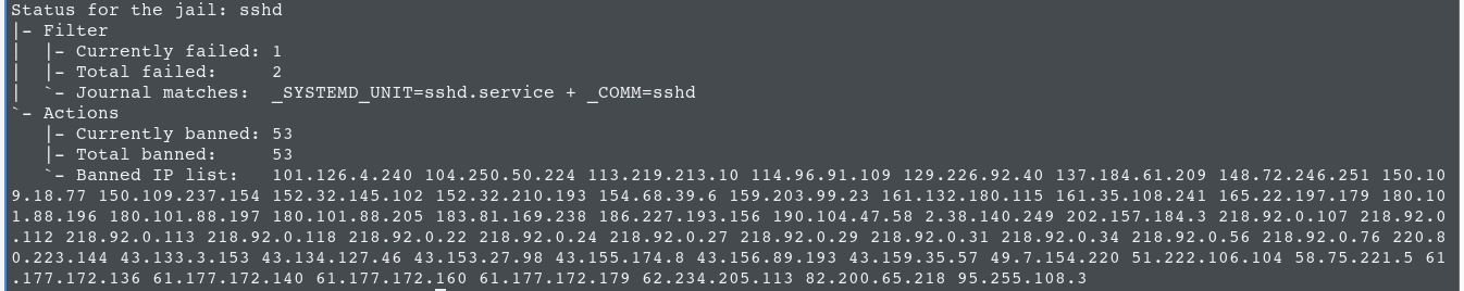 Ssh banned ips